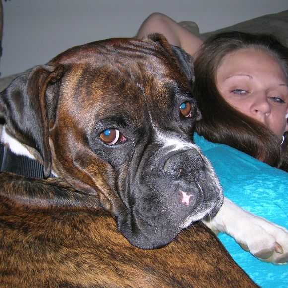 Meet your Posher, Joshua - Picture 1 of 1